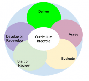 curriculum lifecycle
