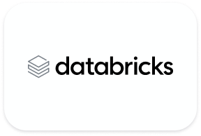 data bricks